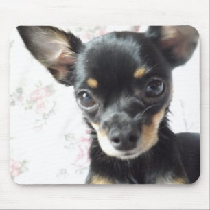 chihuahua Mousepad Muismat
