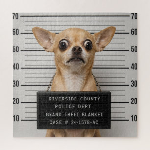 Chihuahua Mugshot: Grote Diefstal van Deken Legpuzzel