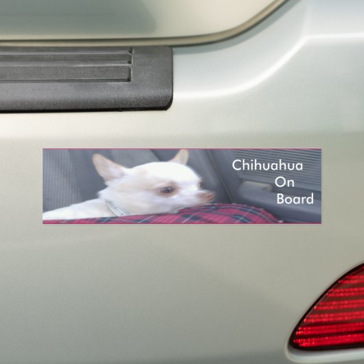 Chihuahua on board Bumpersticker (Op auto)