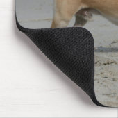 Chihuahua op Beach Muismat (Hoek)