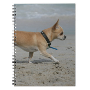 Chihuahua op Beach Notitieboek