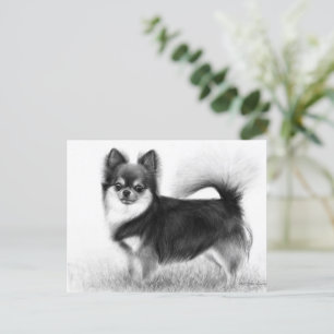 Chihuahua - Originele beeldende kunst Briefkaart