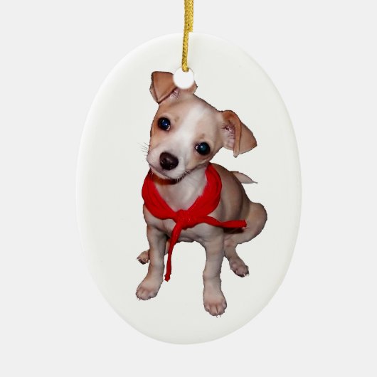 Chihuahua Ornament (Voorkant)