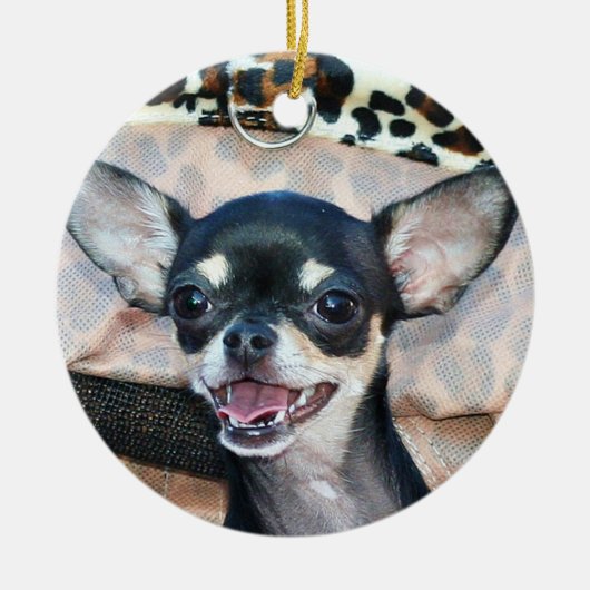 Chihuahua ornement chien (Devant)