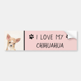 Chihuahua Painting - Cute Original Dog Art Bumpersticker