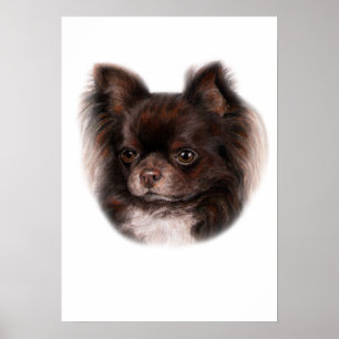 Chihuahua Painting Poster