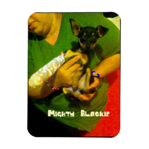Chihuahua Photo Magnet Magneet