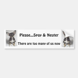 Chihuahua, Please Spay & Neuter Bumpersticker