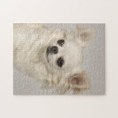 Chihuahua.png Legpuzzel (Horizontaal)