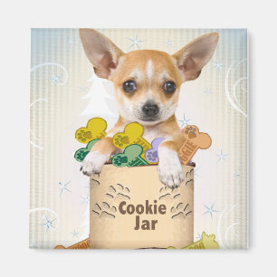 Chihuahua Posed met Cookie Jar Magneet