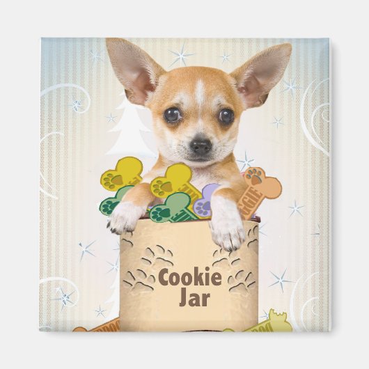 Chihuahua Posed met Cookie Jar Magneet (Voorkant)