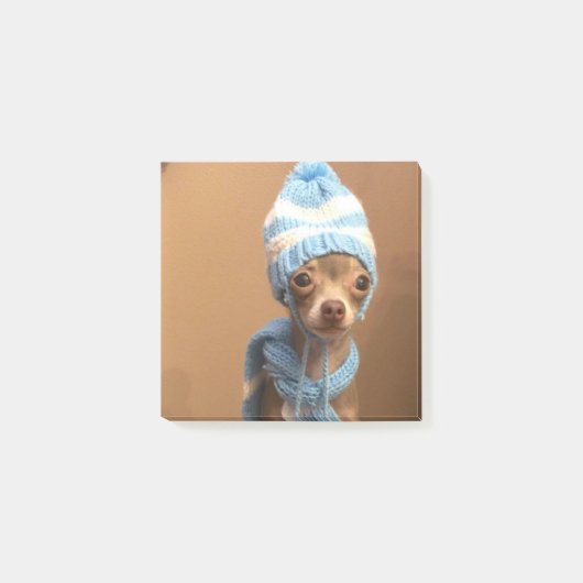 Chihuahua post-it notes (Voorkant)