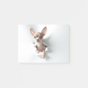 Chihuahua Post-it® Notes