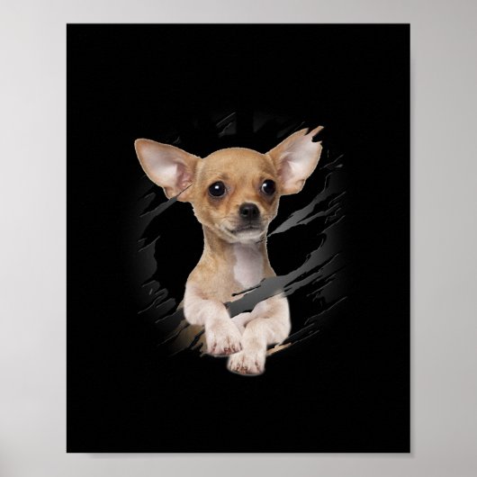 Chihuahua Poster (Voorkant)