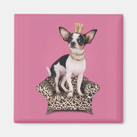 Chihuahua Princess