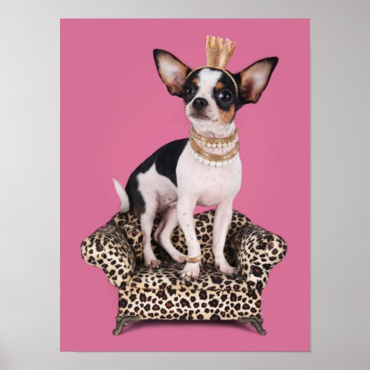 Chihuahua Princess Poster (Voorkant)