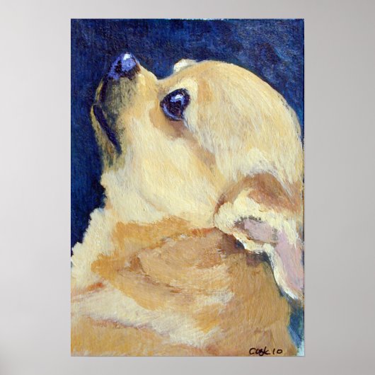 Chihuahua Print (Voorkant)