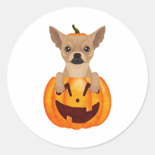 Chihuahua Pumpkin Ronde Sticker