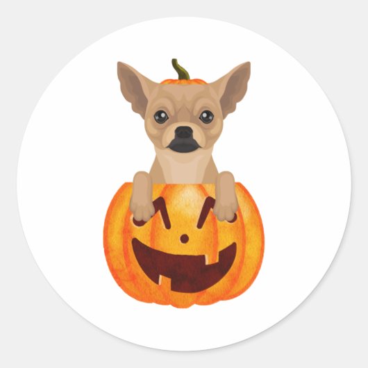 Chihuahua Pumpkin Ronde Sticker (Voorkant)