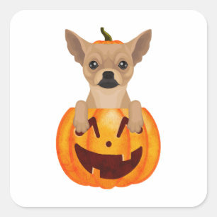 Chihuahua Pumpkin Vierkante Sticker