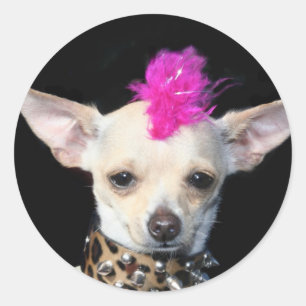 Chihuahua Punk Ronde Sticker