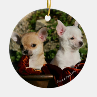 Chihuahua Puppies Keramisch Ornament