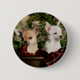 Chihuahua Puppies Ronde Button 5,7 Cm