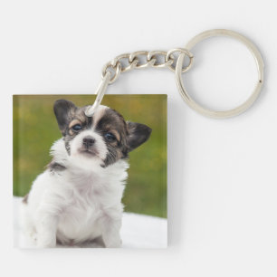 Chihuahua Puppy Aardige Foto Sleutelhanger