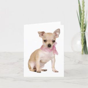Chihuahua Puppy Dog Blank Note of Wenskaart Kaart