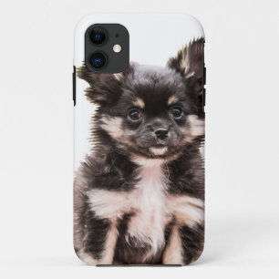 Chihuahua Puppy Dog iPhone 11 Hoesje
