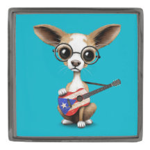 Chihuahua Puppy Dog die Puerto Rico Guitar speelt