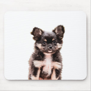 Chihuahua Puppy Dog Muismat