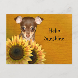 Chihuahua puppy en zonnebloemen briefkaart