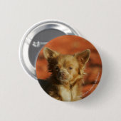 Chihuahua Puppy Headshot Ronde Button 5,7 Cm (Voorkant /achterkant)