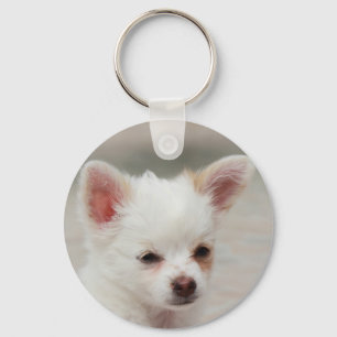 Chihuahua puppy in een tuin sleutelhanger