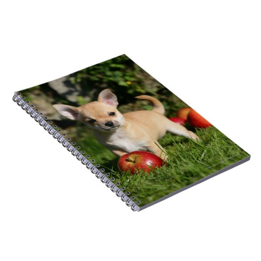Chihuahua Puppy met appels Notitieboek (Rechterzijde)