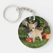 Chihuahua Puppy met appels Sleutelhanger (Voorkant)