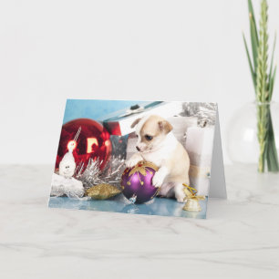 Chihuahua puppy met kerstbal feestdagen kaart