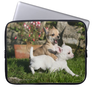 Chihuahua Puppy Pplay Laptop Sleeve