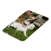 Chihuahua Puppy Pplay Magneet (Linkerzijde)