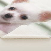 CHIHUAHUA PUPPY SHERPA DEKEN (3/4)