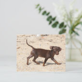 Chihuahua Puppy Walking Briefkaart (Staand voorkant)