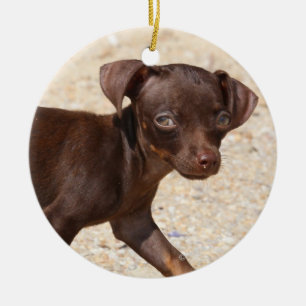 Chihuahua Puppy Walking Keramisch Ornament