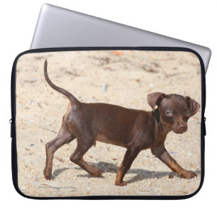 Chihuahua Puppy Walking Laptop Sleeve