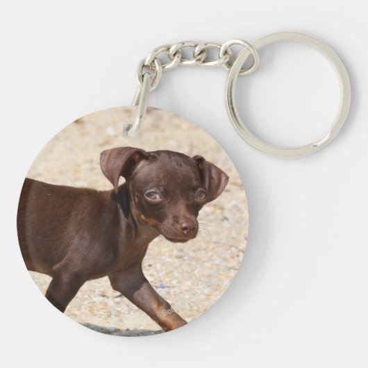 Chihuahua Puppy Walking Sleutelhanger (Achterkant)