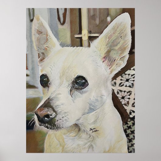 Chihuahua Rat Terrier Poster (Voorkant)