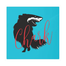 Chihuahua + requin = Chark