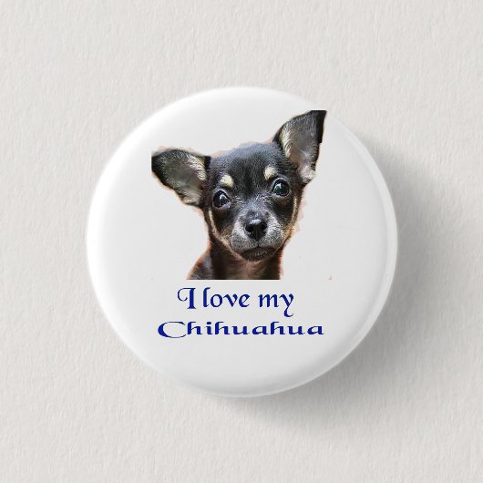 chihuahua ronde button 3,2 cm (Voorkant)