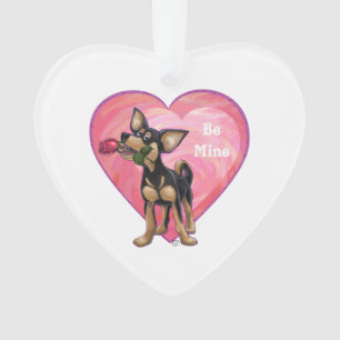 Chihuahua Saint-Valentin