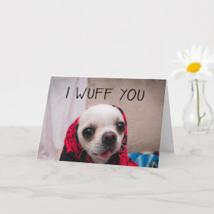 Chihuahua schattig... ik maak je gek op Valentijns Kaart